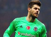 Beşiktaşlı taraftarlardan Fabri’ye tepki!
