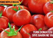İsrail Türk domatesine muhtaç kaldı