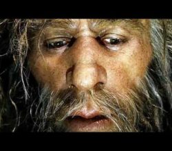 Neandertallerin çöküşü nasıl oldu?